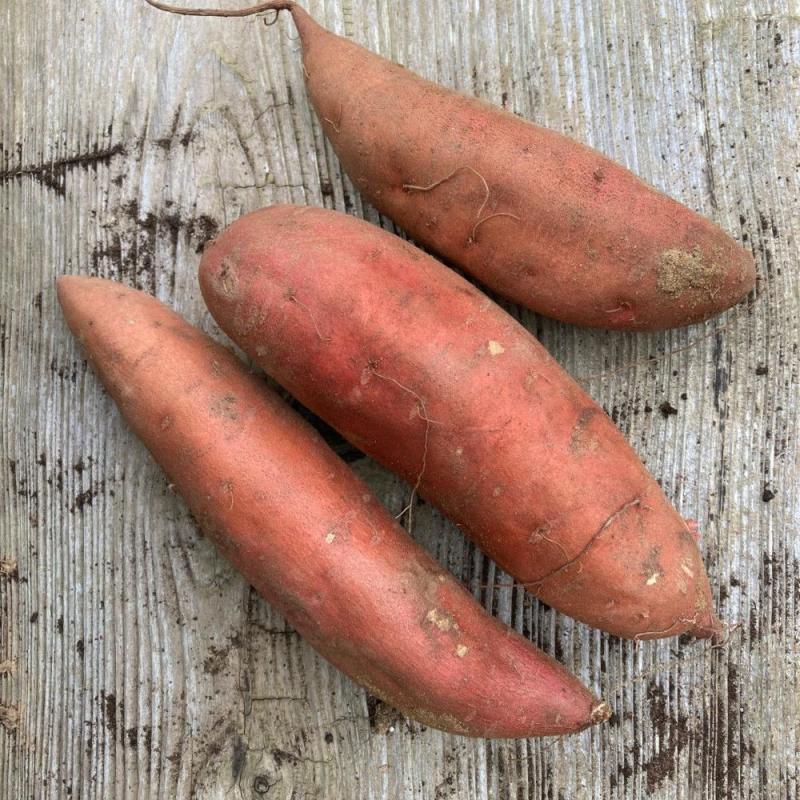 Orange Sweet Potato - 6 Kg