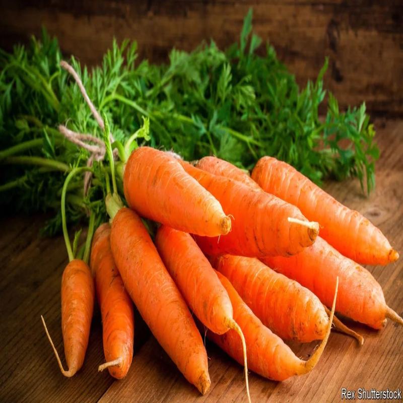 Orange Carrots  10 Kg