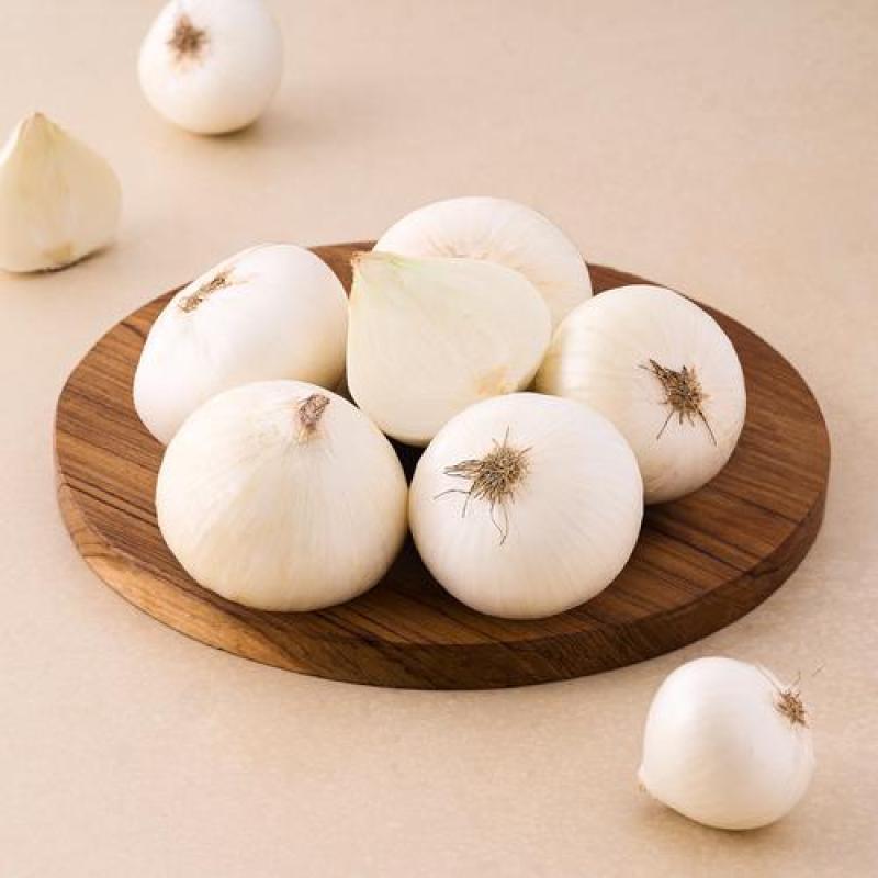 White Onions | Onions - 20 Kg