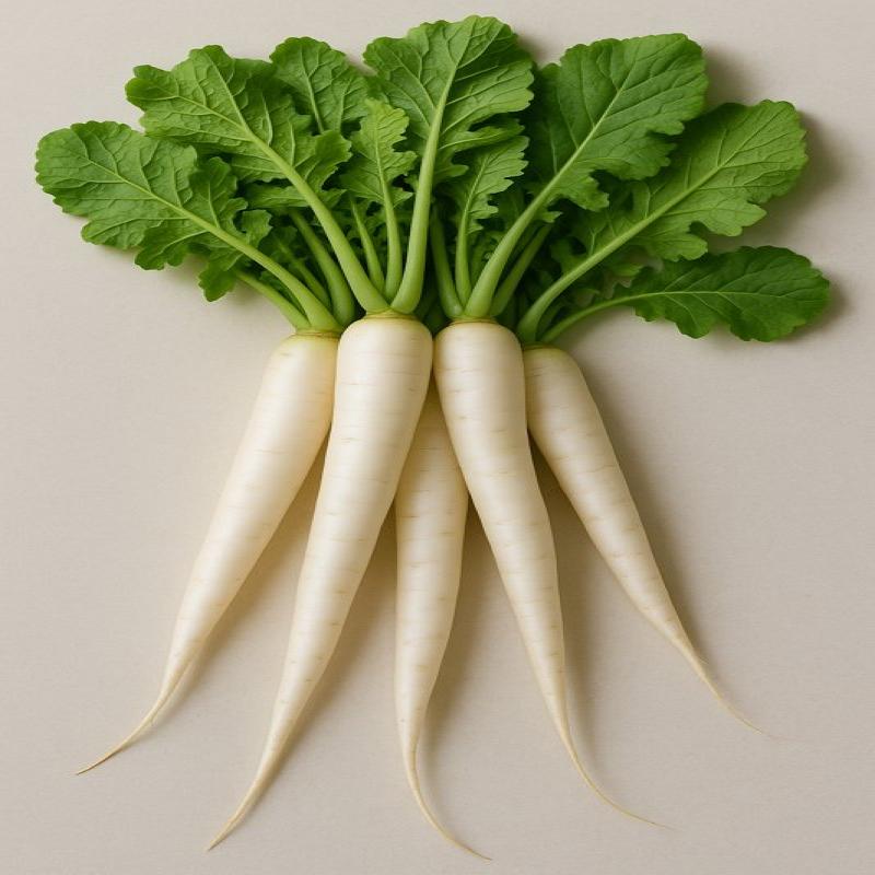 Moolie (Radish) sold per piece