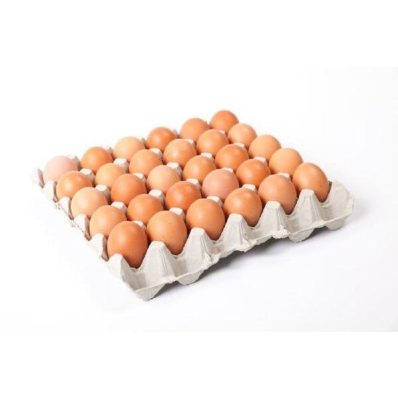 Large Egg Tray 30 Pc.