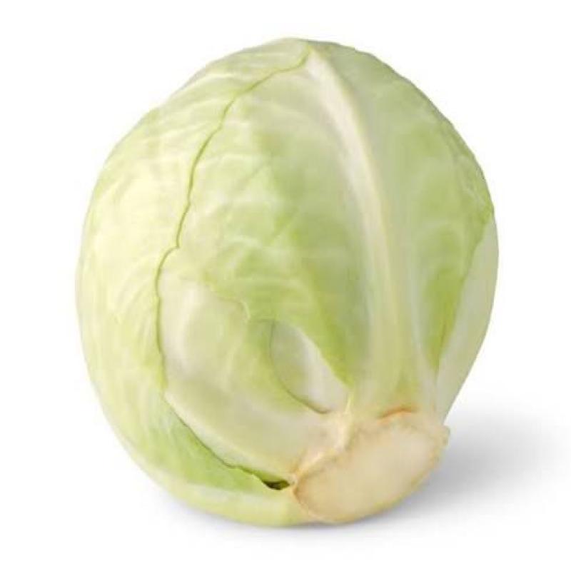 White Cabbage 5kg Pack